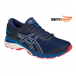 Chaussure ASICS gel Kayano 25 /B