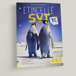 Etincelle SVT TC